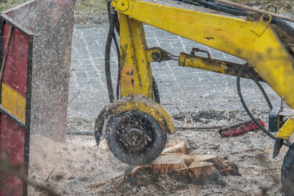 Pembroke Pines - Broward County FL Tree Trimming and Stump Grinding Services