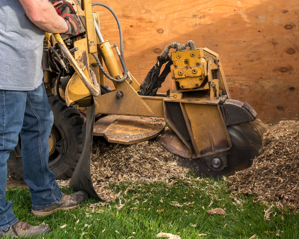 Tree Service Pembroke Pines - Tree Trimming Pembroke Pines, FL - Chop Chop  Tree